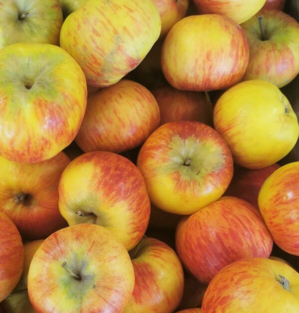 Pomme Topaz