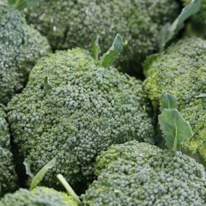 Brocoli Biobreizh