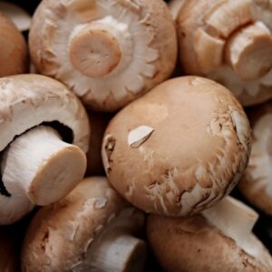Champignon PC crème 250g