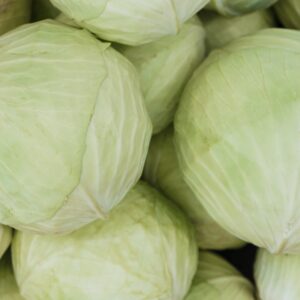 Chou Blanc Nouveau Pièce
