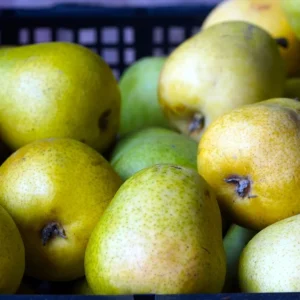 Poire Guyot Provence