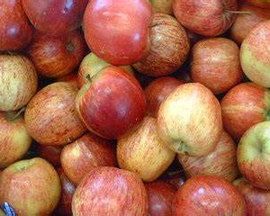 Pomme Royal Gala Italie