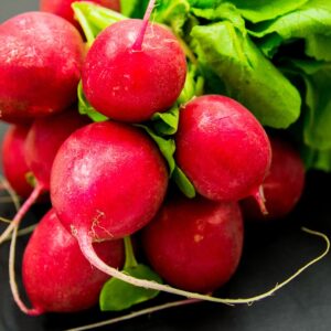 Radis rouge botte