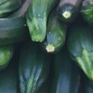 Courgette de Provence