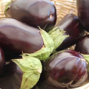 Aubergine Noire