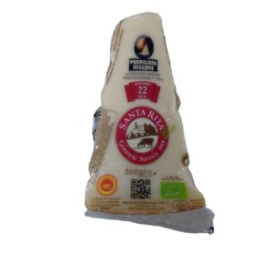 Parmesan Reggiano Bio Portion Environ 300g