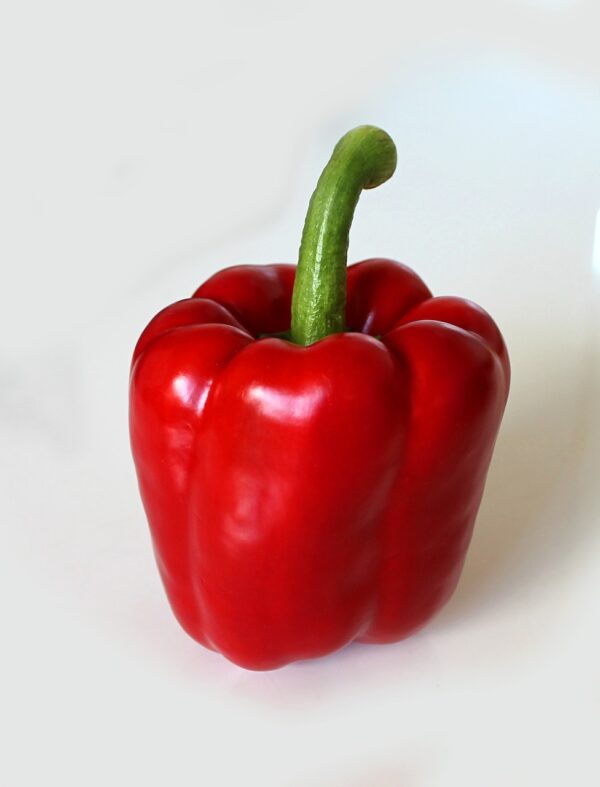 Poivron Rouge