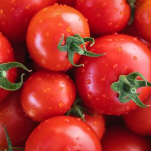 Tomate pour Sauce