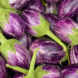 Aubergine Zébrée
