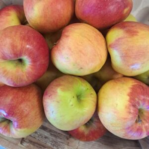Pomme Idared